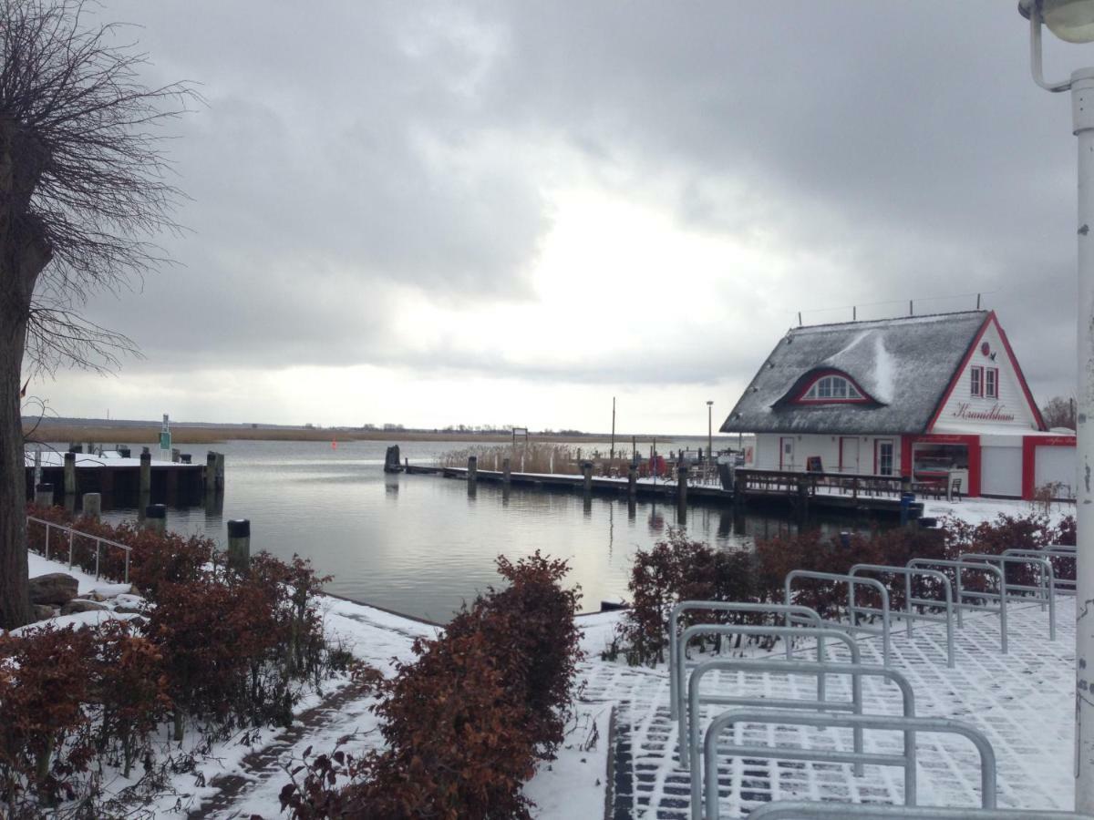 Am Alten Hafen - Ostseebad *